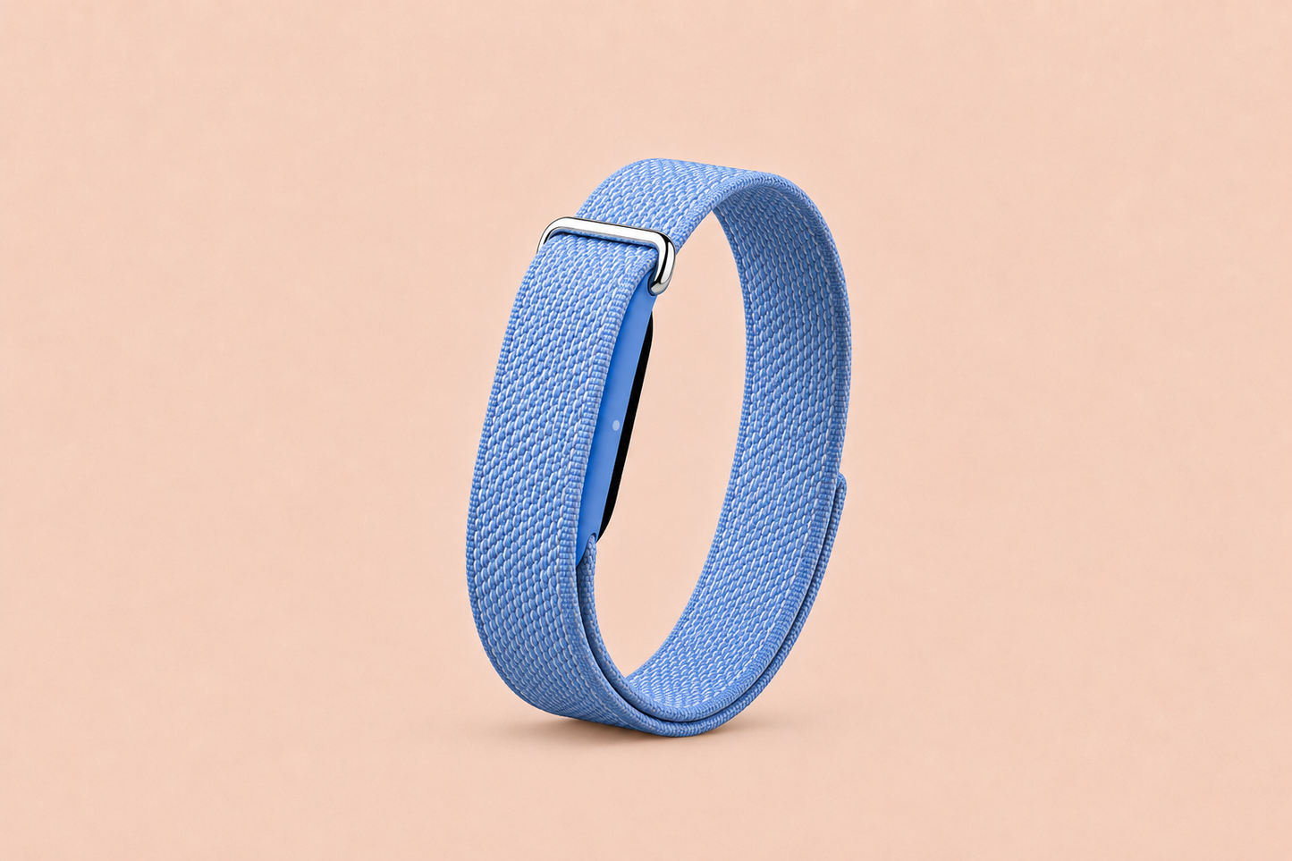 Google Fitbit Air • Same Day Delivery