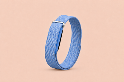 Google Fitbit Air • Same Day Delivery