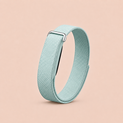 Google Fitbit Air • Same Day Delivery